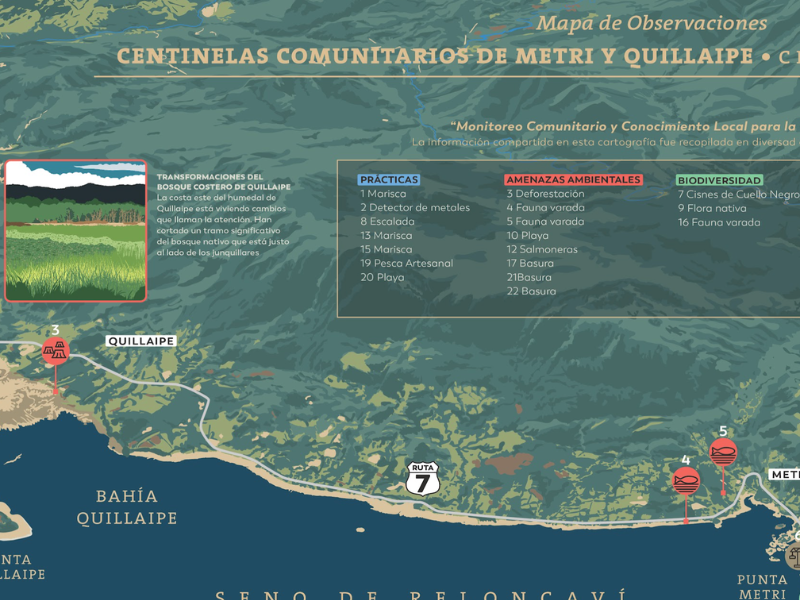 Cartografía Metri y Quillaipe