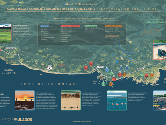 Cartografía Metri y Quillaipe